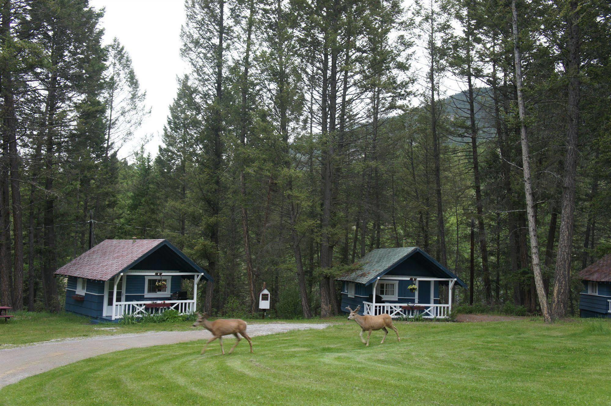 Fairmont Mountain Bungalows Fairmont Hot Springs Exterior foto